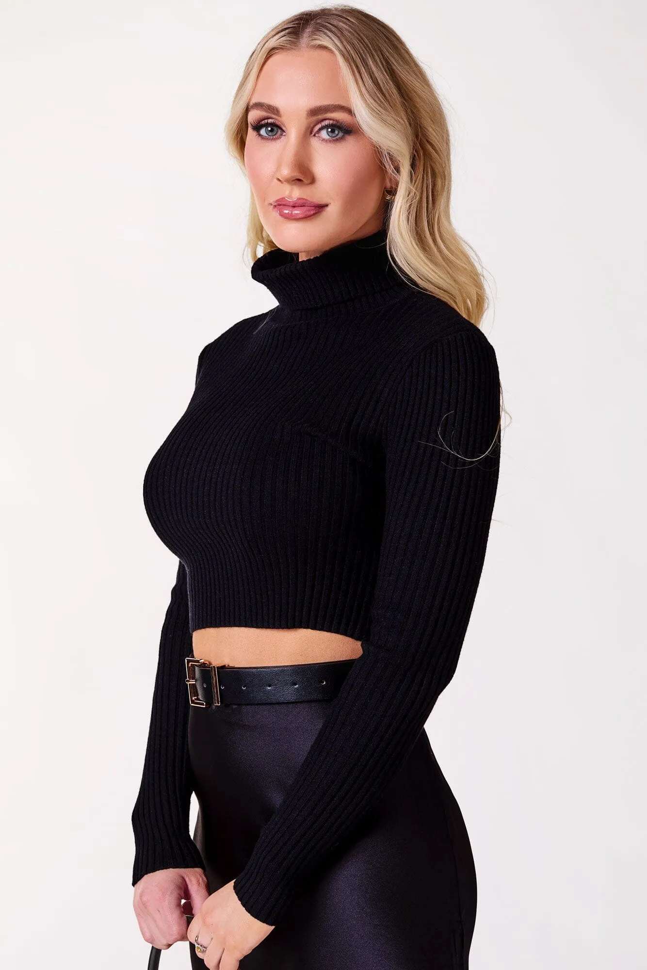 Hazy Black Ribbed Crop Turtleneck Top