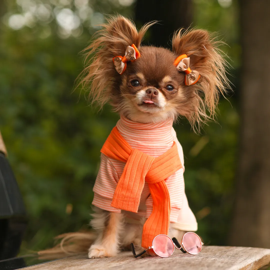 Striped Tee with Scarf - Orange