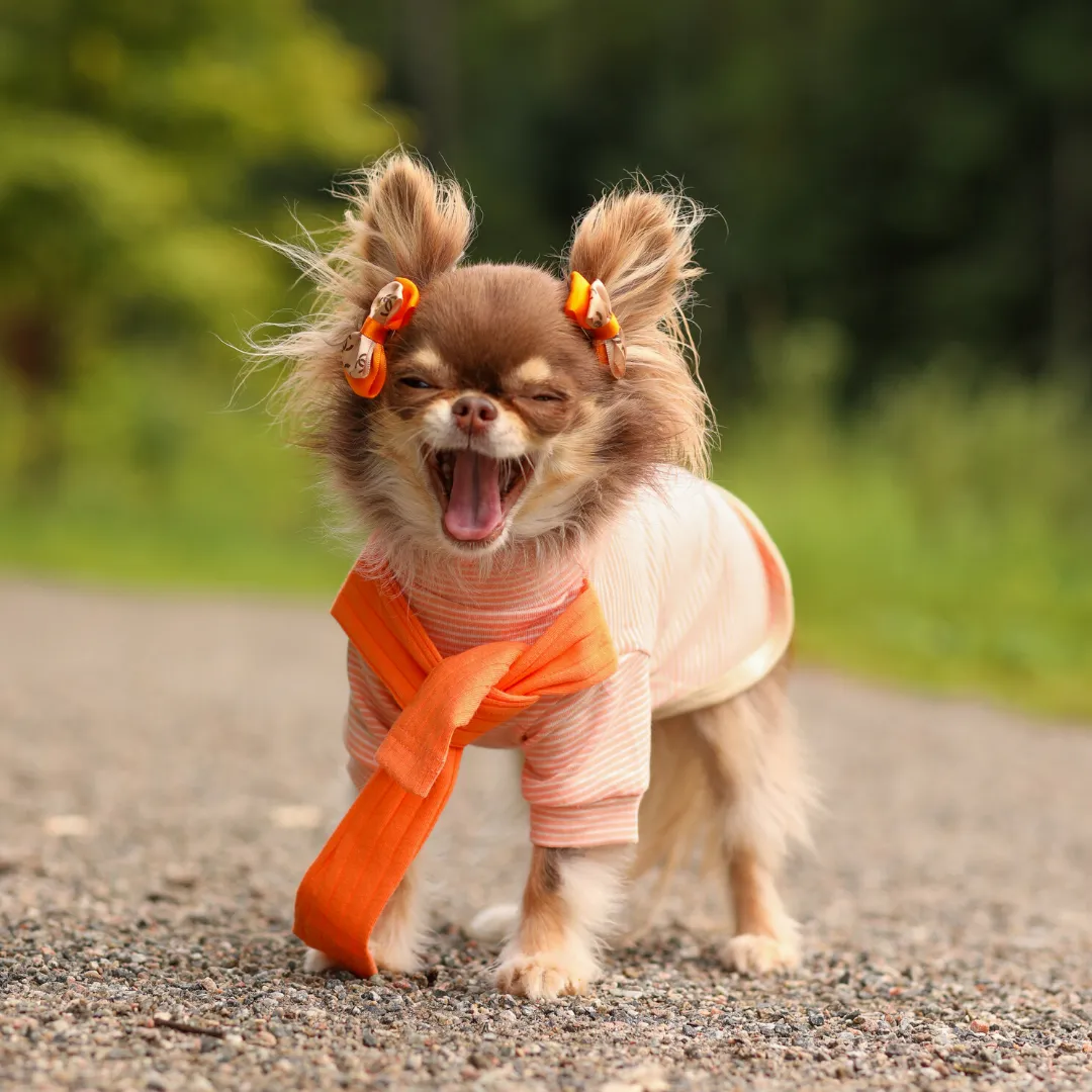 Striped Tee with Scarf - Orange