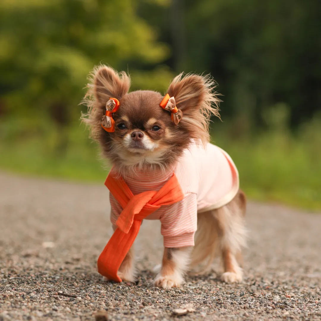 Striped Tee with Scarf - Orange